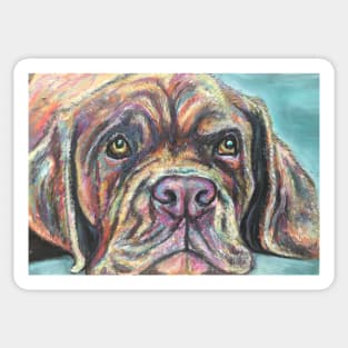 Colourful Dogue de Bordeaux Sticker